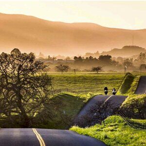 Meet your Posher, Nadia